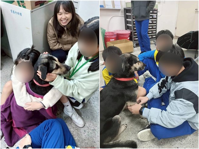 台灣新聞通訊社-寒冬披毛毯超暖心 新北石門實中校犬「睿睿」變校園明星