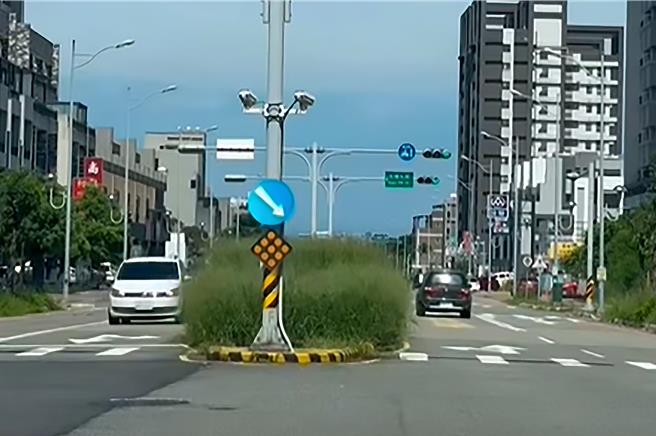 台灣新聞通訊社-竹南大埔分隔島雜草高過車身 駕駛轉彎「看不到來車」