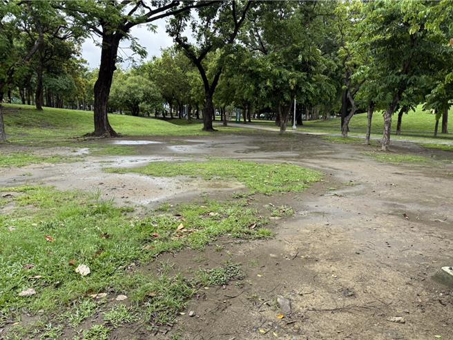 台灣新聞通訊社-高雄中央公園草坪光禿禿 民批揚塵嚴重、雨停3天仍積水