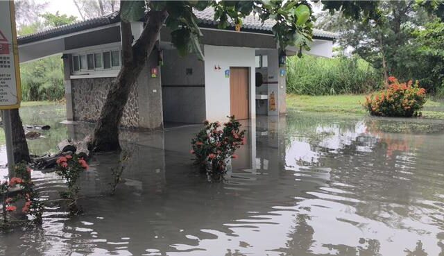 台灣新聞通訊社-巴威外圍環流發威！劇烈長浪襲台東、蘭嶼搶收龍眼