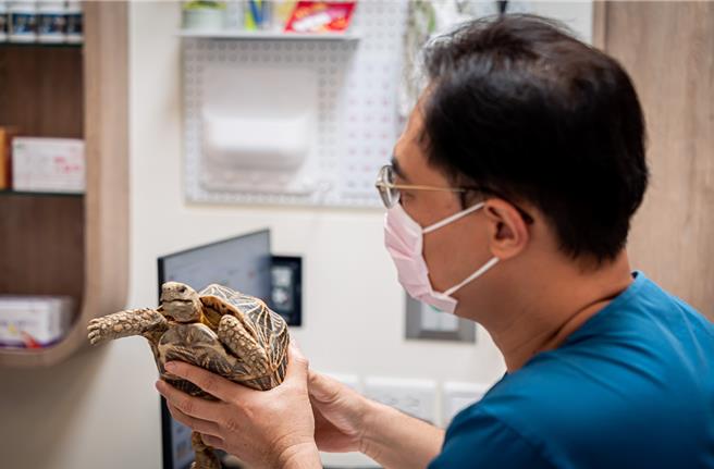 台灣新聞通訊社-「異寵熱」引爆高教搶開課 專家曝飼主最大痛點:缺醫療資源