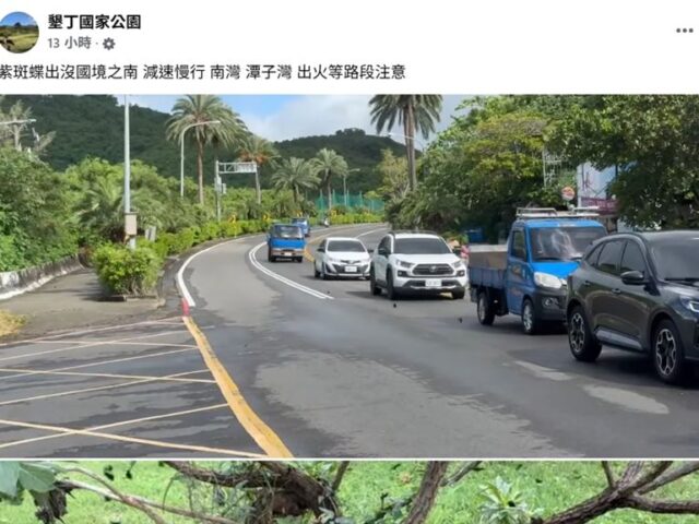 台灣新聞通訊社-墾丁驚見「夢幻紫色風暴」萬蝶湧入「這幾路段」　墾管處急籲：車速放慢