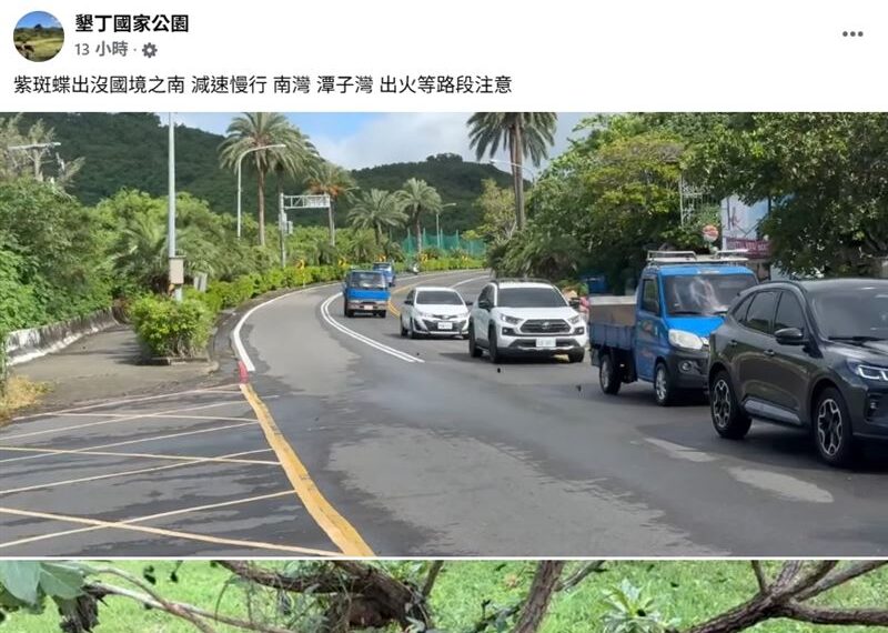 台灣新聞通訊社-墾丁驚見「夢幻紫色風暴」萬蝶湧入「這幾路段」 墾管處急籲:車速放慢