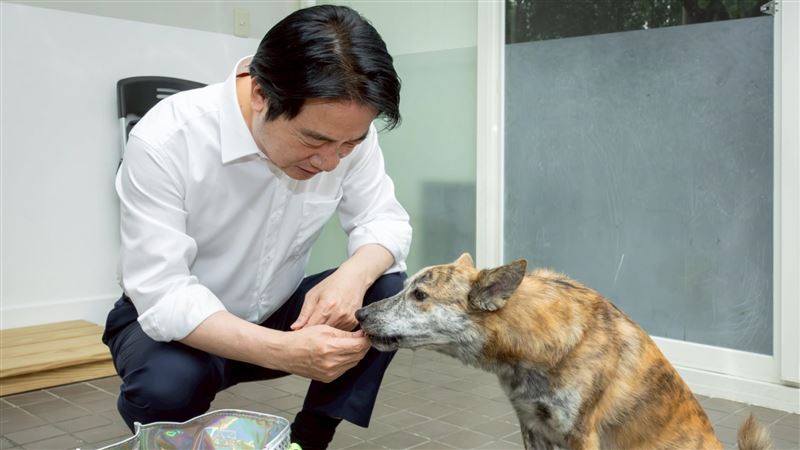 台灣新聞通訊社-賴清德寵物展大採購!「親口」認證肉條很對斑斑胃口