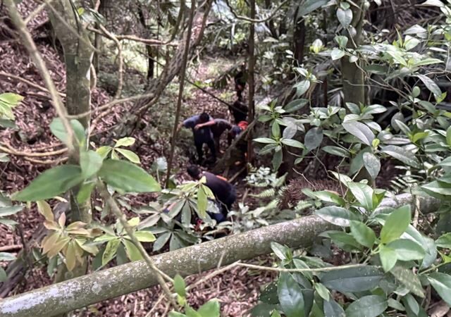 台灣新聞通訊社-男嘉義深山打獵不慎墜谷  同行友人發現時已身亡