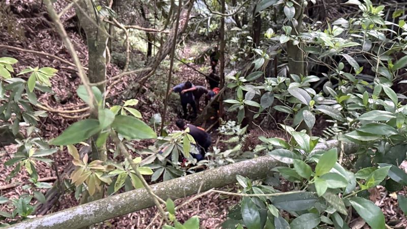 台灣新聞通訊社-男嘉義深山打獵不慎墜谷 同行友人發現時已身亡