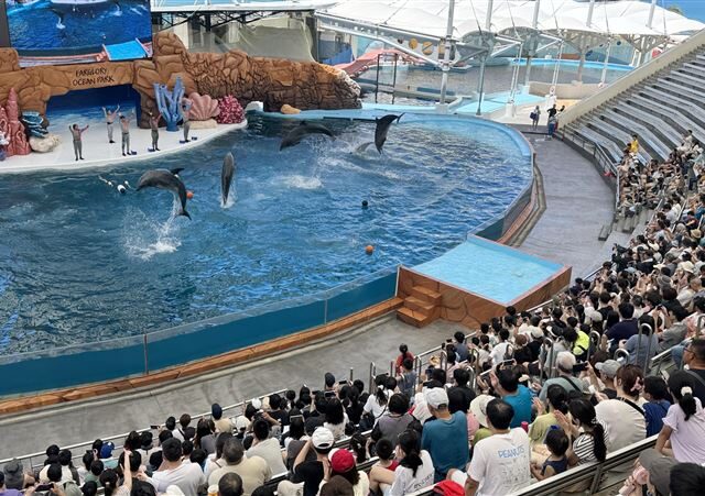 台灣新聞通訊社-花蓮遠雄海洋公園「海豚秀」走入歷史　轉型生態展演推廣保育