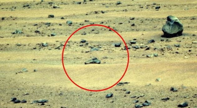 台灣新聞通訊社-在火星拍到「外星人的手槍」？UFO專家揪異常黑影控刪照　NASA回應了