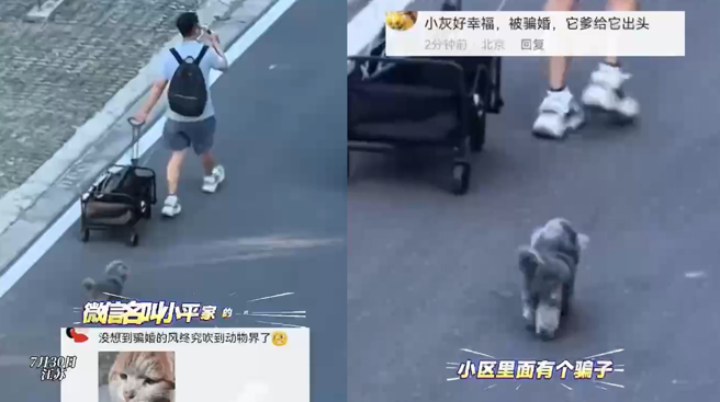 台灣新聞通訊社-不滿愛犬被騙婚！ 主人拖著「大喇叭」沿路討公道
