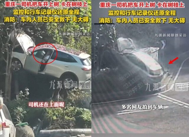 台灣新聞通訊社-休旅車「卡樹上」駕駛受困？ 消防傻眼架梯救援