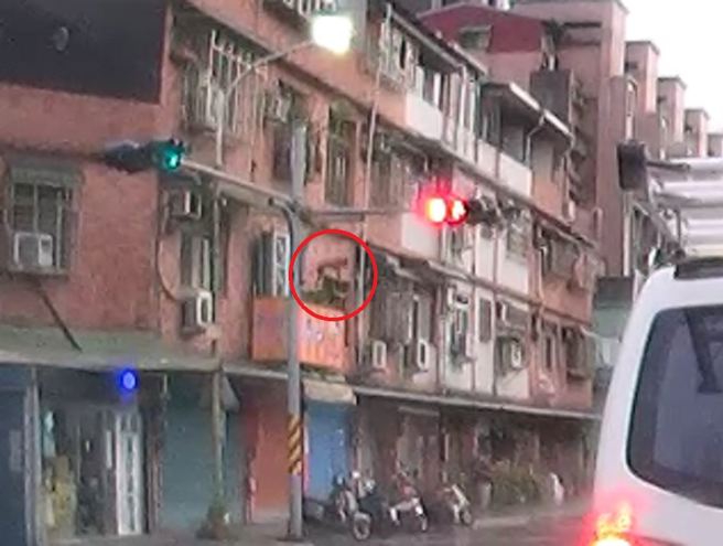 台灣新聞通訊社-狗狗「被雷聲嚇到」衝出露臺墜樓亡!民眾急報警 飼主挨罰1.5萬
