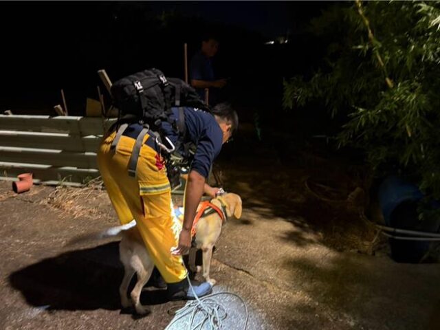 台灣新聞通訊社-91歲嬤拜拜迷航困草叢！特搜神犬出馬 靠「原味衣」火速立功
