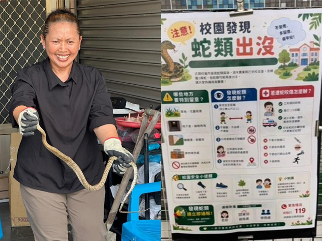 台灣新聞通訊社-高雄半年蛇類通報破千件!校園驚見眼鏡蛇 教授揭密:不是來找人的