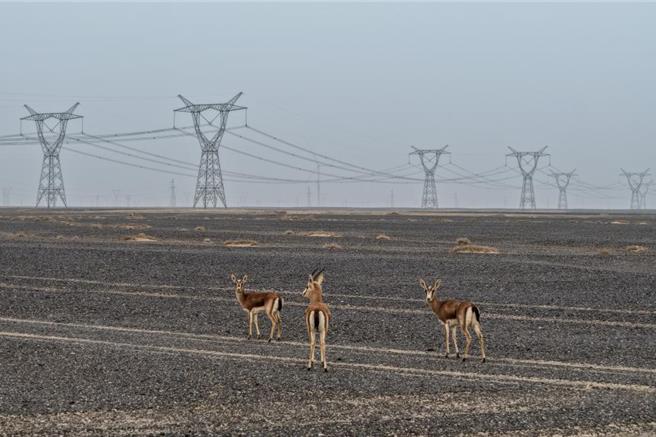 台灣新聞通訊社-從鋰離子電池到核電 陸上半年綠色產業亮眼數據曝