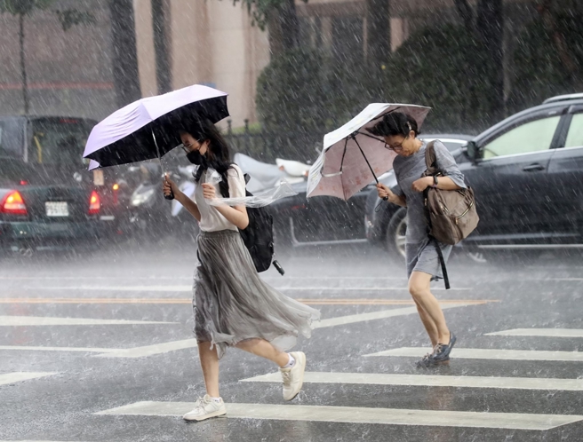台灣新聞通訊社-白海豚最新路徑「離台灣更近」豪雨下到紫爆 父親節泡湯
