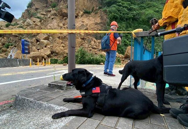 台灣新聞通訊社-北市消防局邀愛犬家庭申請 陪毛英雄迎接幸福下半場