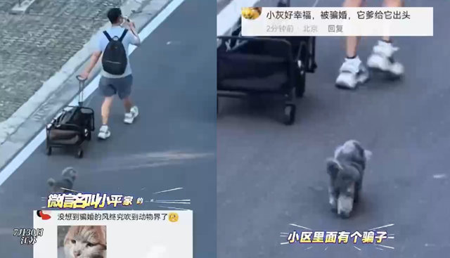 台灣新聞通訊社-不滿愛犬被騙婚！ 主人拖著「大喇叭」沿路討公道